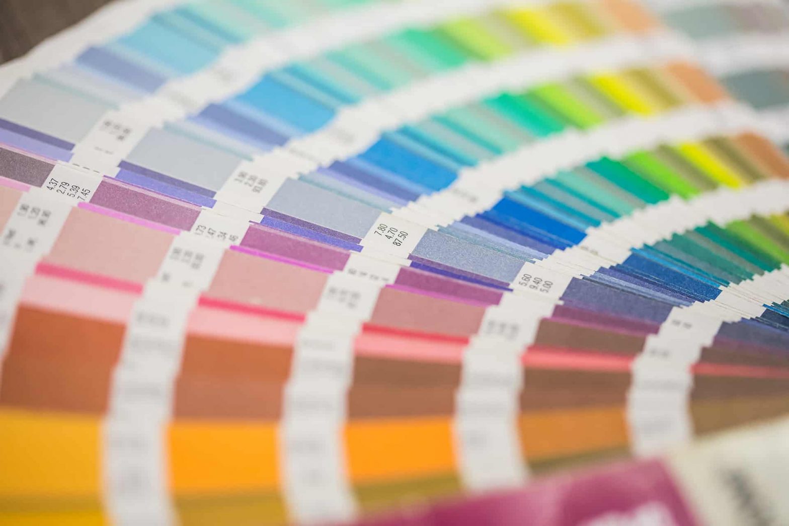 Paleta de cores